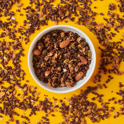 Wild Protein Granola Crunchy Semillas (VEGANA)